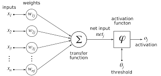 NNetwork Procedure